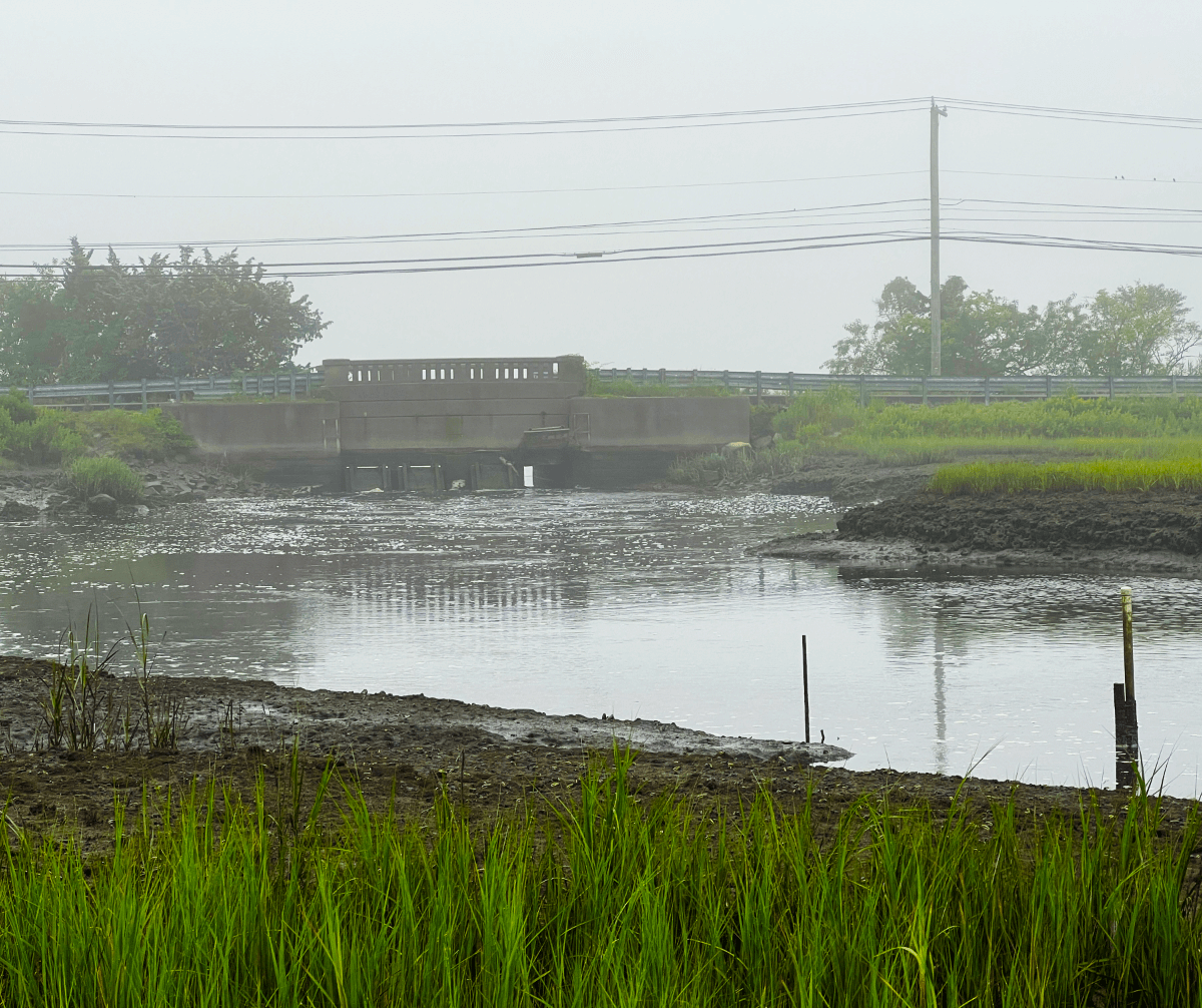 NOAA, NFWF Allocate $8.3 Million for Connecticut’s Hammock River 