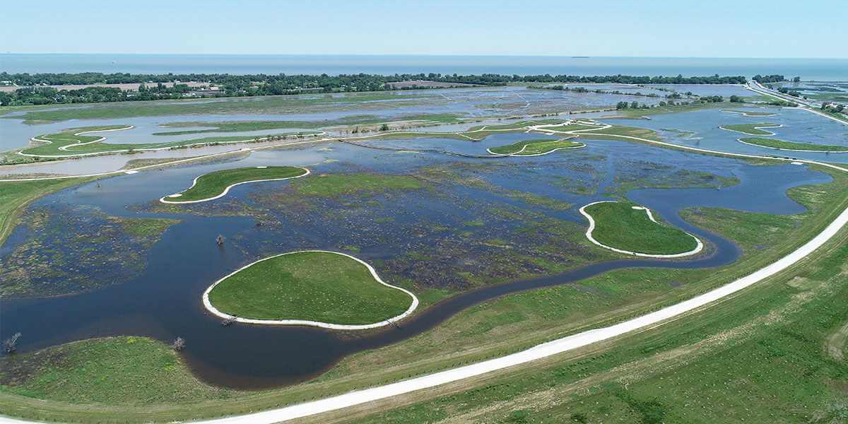 Image for DU pivotal in 1,000-acre Howard Marsh Metropark