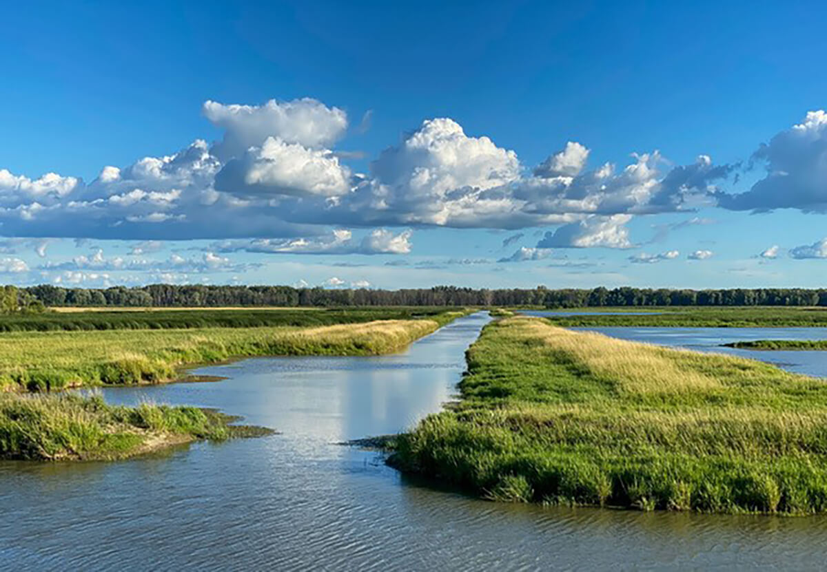 Michigan DNR to Invest $4 Million in Water Quality 