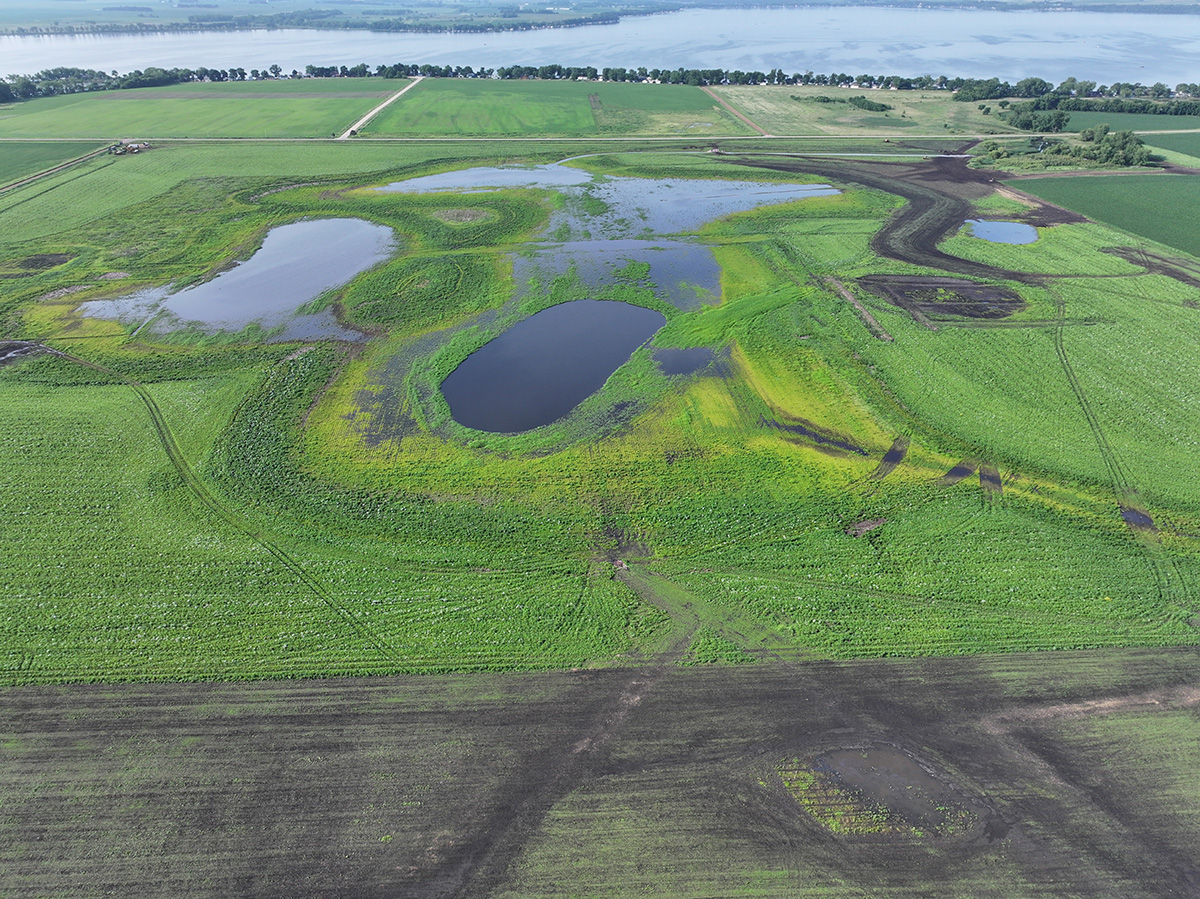 $2.6 Million Moore Slough Restoration Creates Habitat, Clean Water in Minnesota’s Prairie Pothole Region 