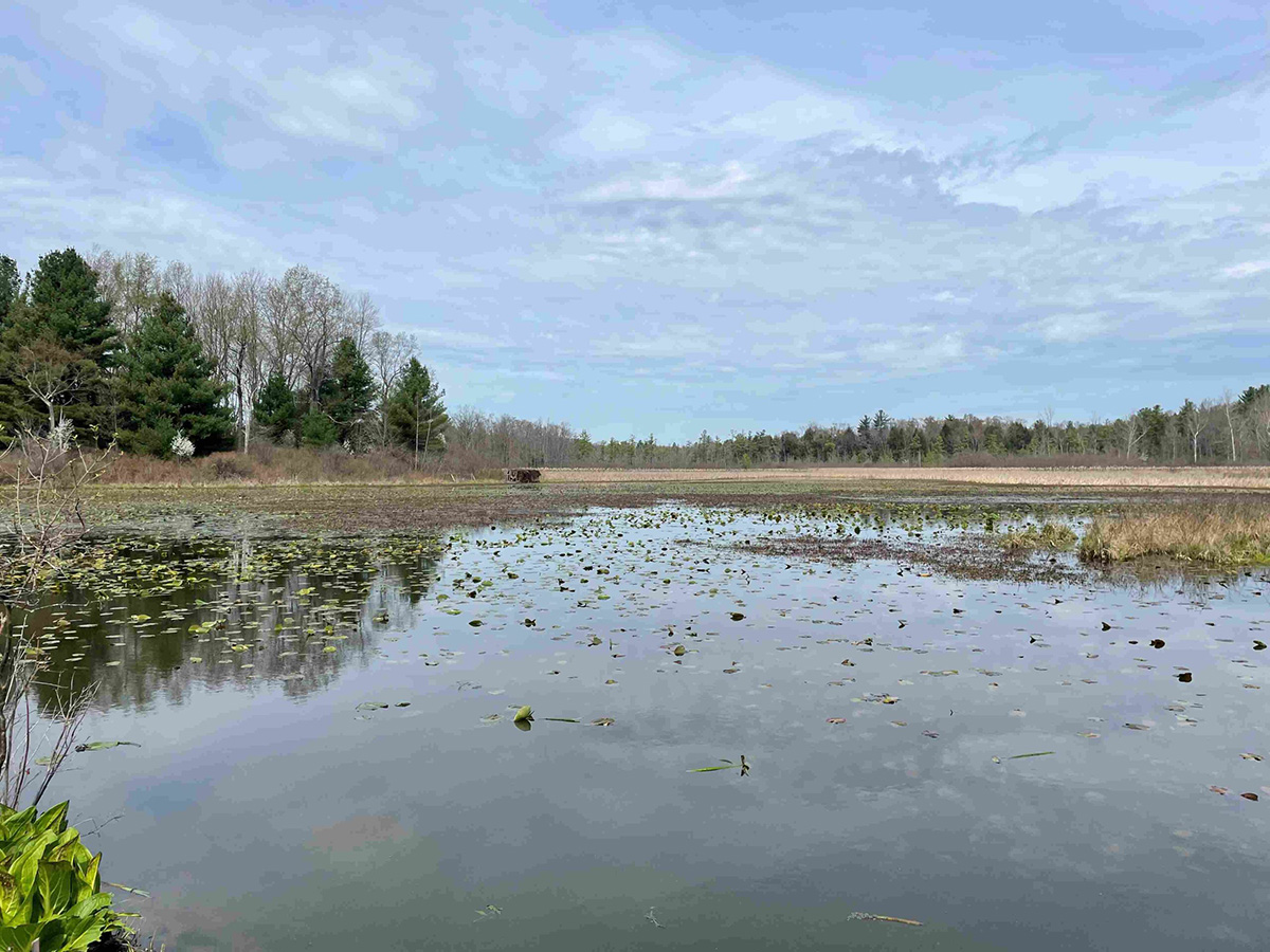 S.K. Rockwell Conservancy Invests $3 Million in Pennsylvania Public Lands 