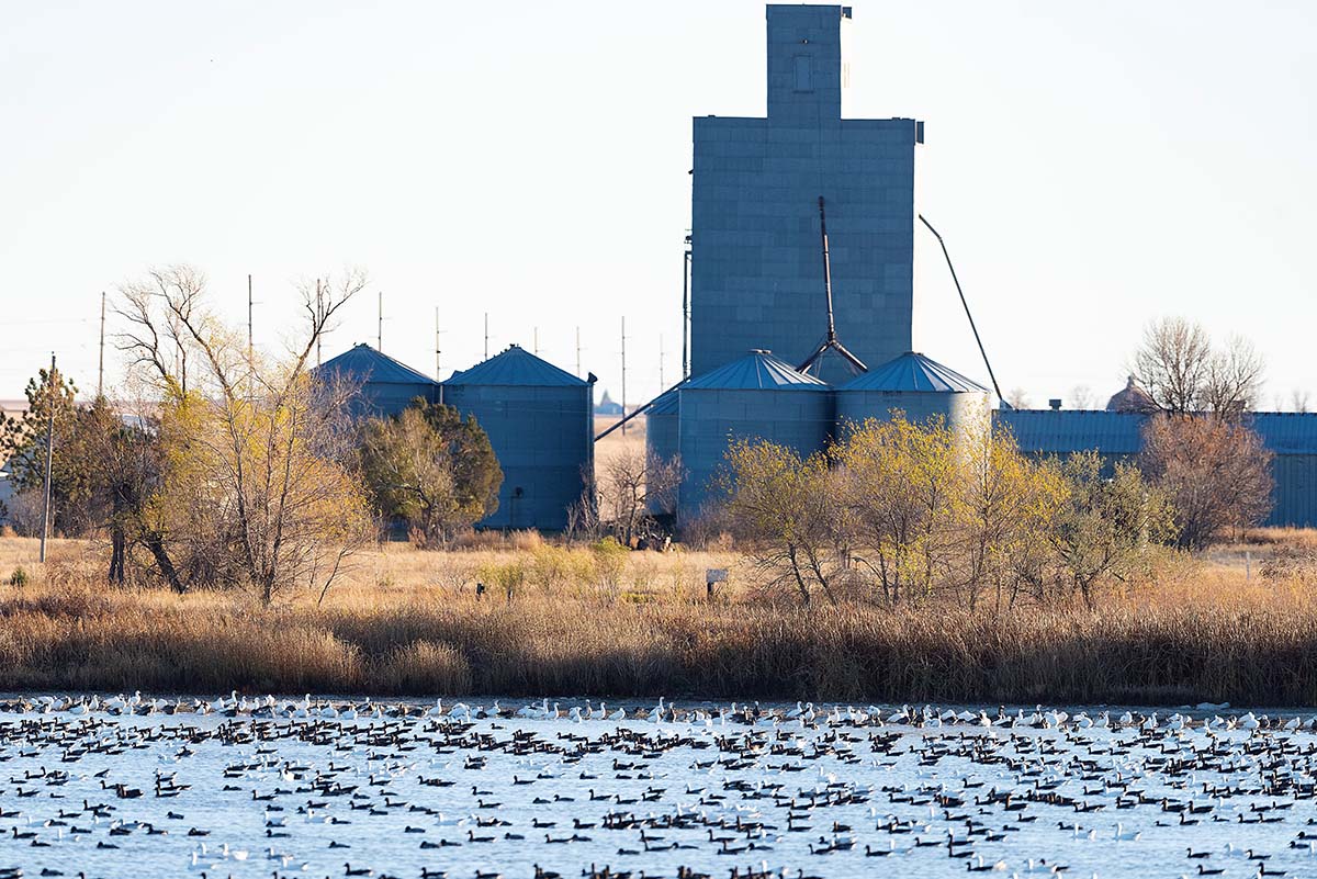 Conservation Programs Focusing on Underserved, Socially Disadvantaged Landowners