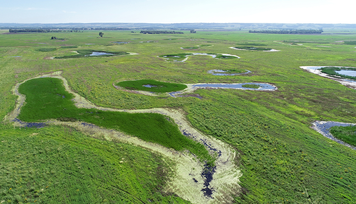 Ducks Unlimited receives support from USDA for South Dakota Grassland Initiative