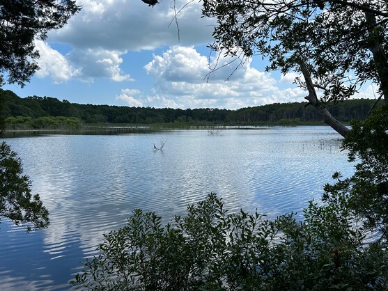 Carolinas Awarded $2.7 million for Wetlands