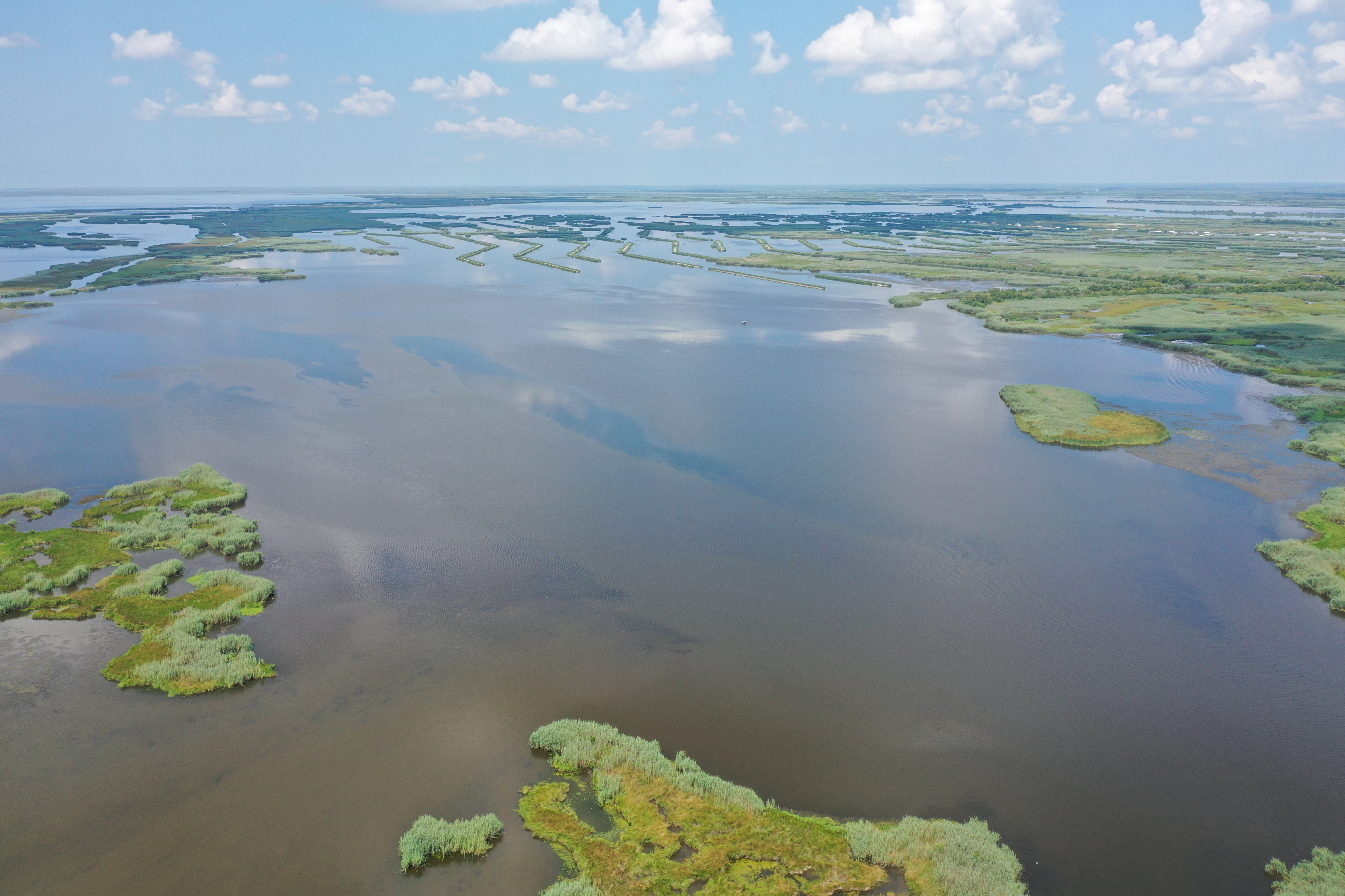 Southern Louisiana Partners Awarded $3.4 million for Coastal Wetland Habitat Enhancements