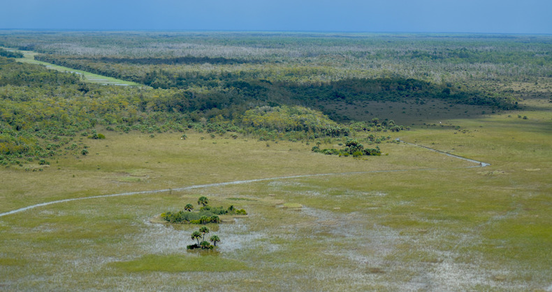 Southern Florida Awarded $2.2 million for Coastal Wetlands