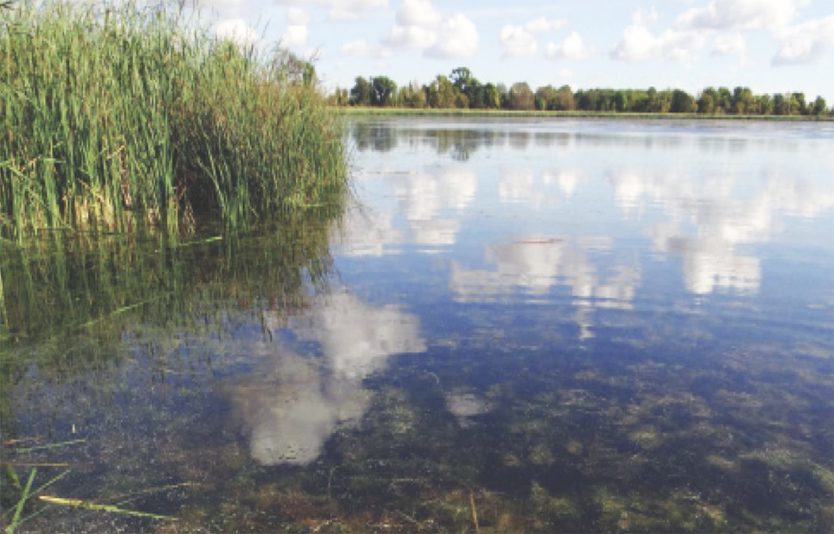 700 Acres of Public Land Protected at Sanborn Lake WMA 