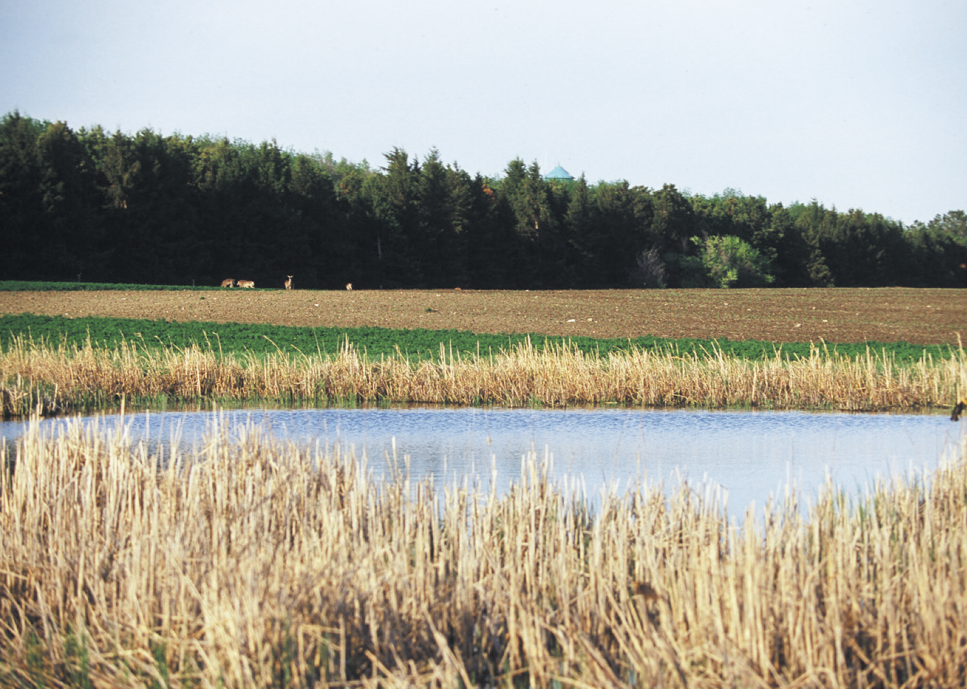 USDA Awards $8 Million For Climate-Smart Agriculture Projects in Iowa 