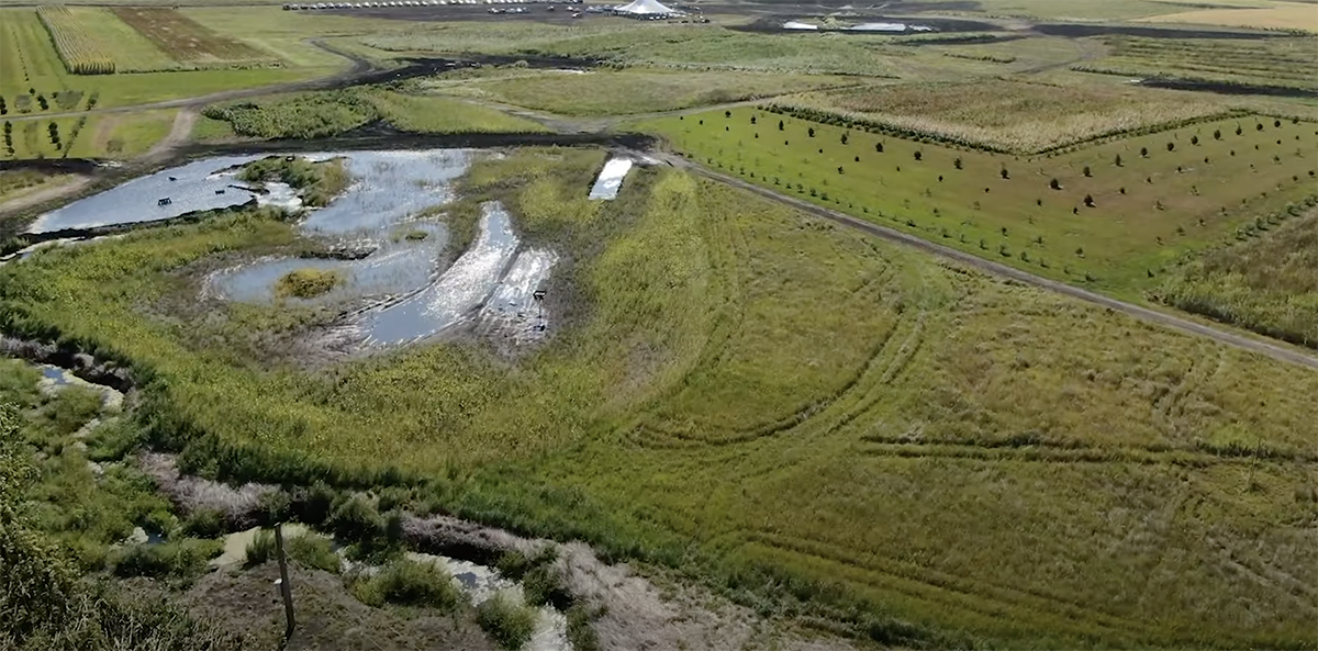 Stolee Wetland.png