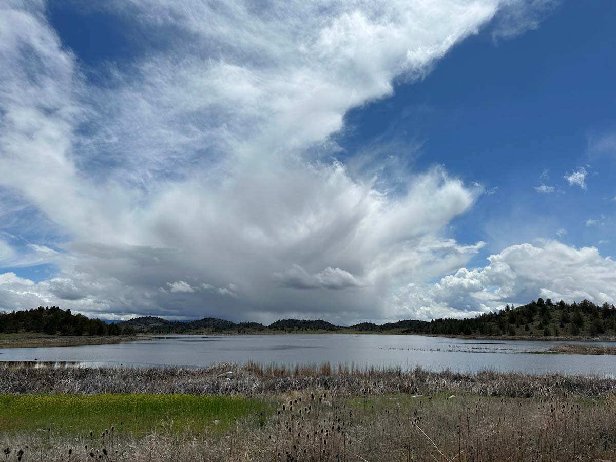 Image for Northeastern California hunters facing another challenging season in the Klamath Basin