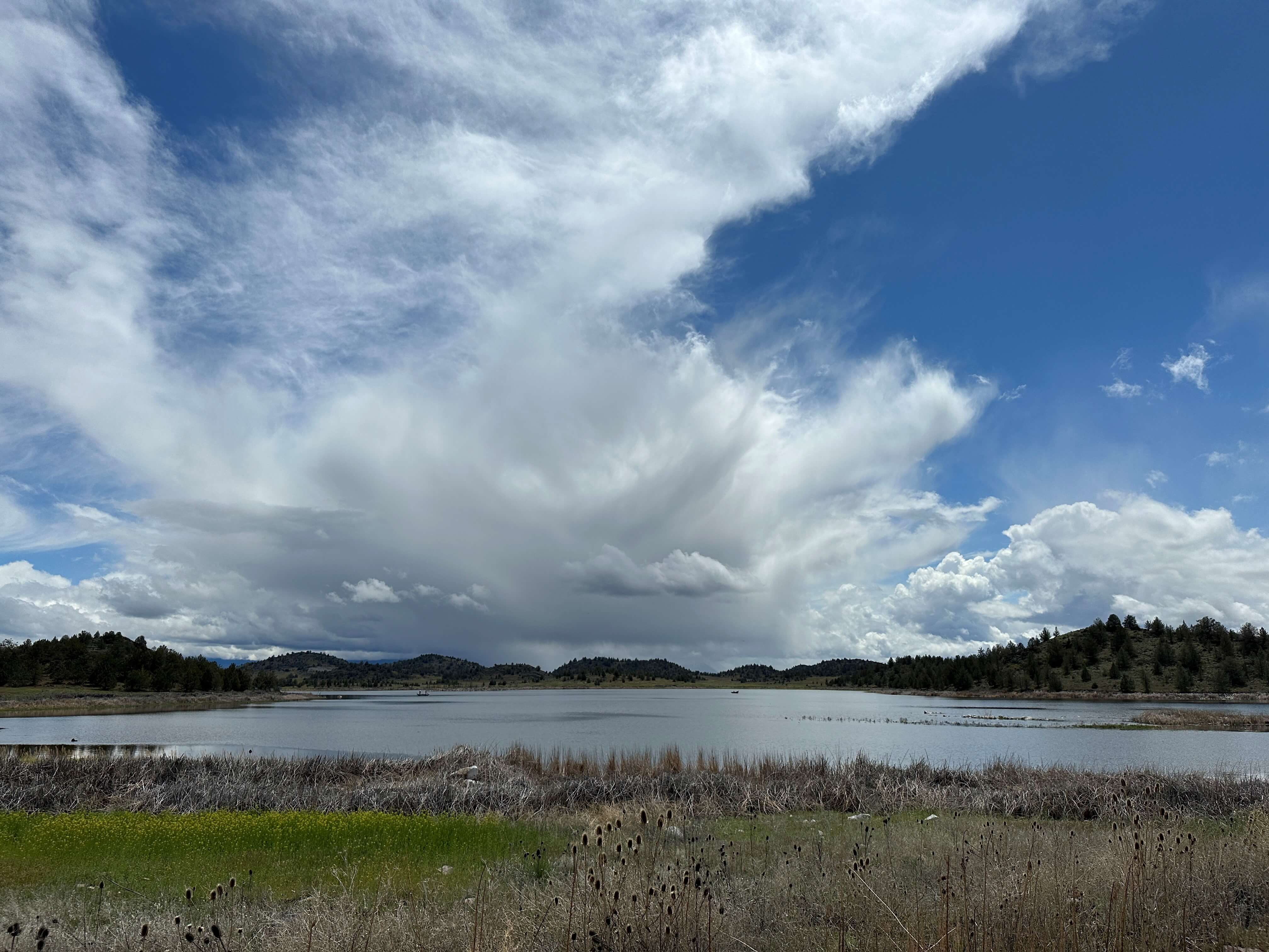 Trout Lake at Shasta Valley Wildlife Area May 2023