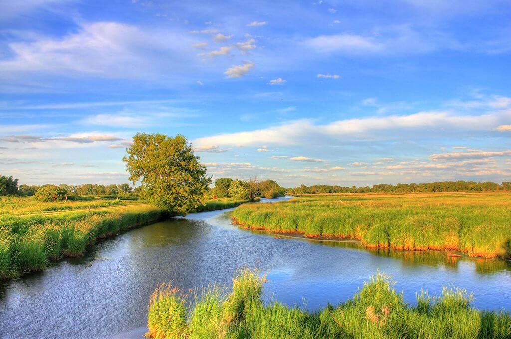 Image for $8.8 Million Dedicated to Wisconsin’s Wetland Reserve Easement Program 