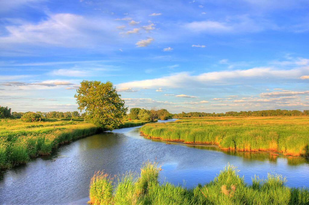 $8.8 Million Dedicated to Wisconsin’s Wetland Reserve Easement Program 