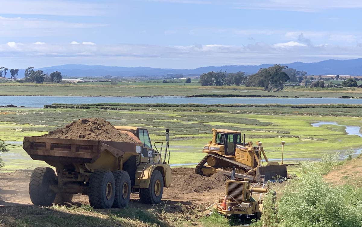 Ducks Unlimited projects underway at popular Elkhorn Slough in California