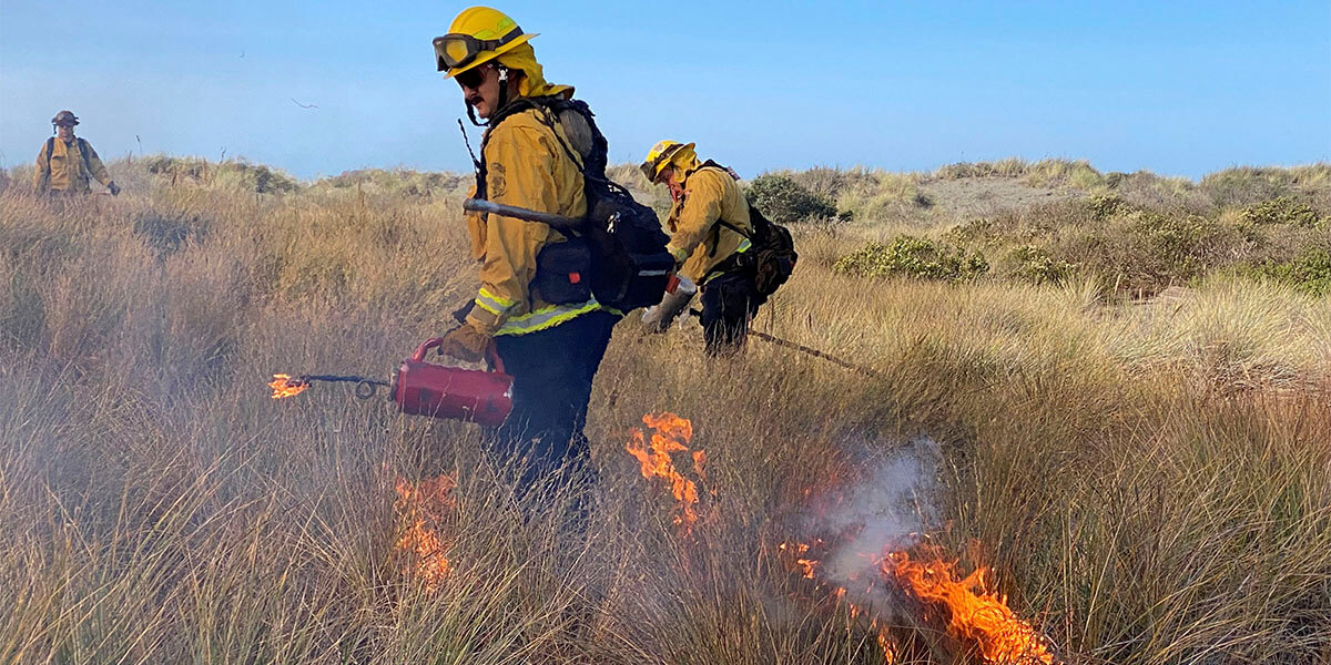 fire on the dunes at Ocean Ranch