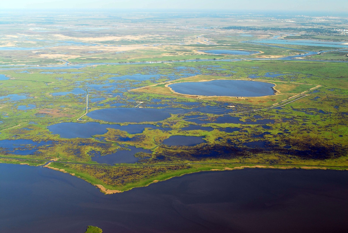 Image for Texan by Nature Conservation Wrangler: Chenier Plain Restoration