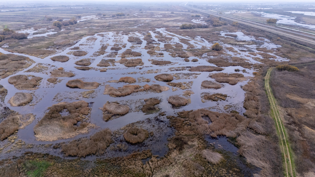 Back in the Flow: Ducks Unlimited Enhances Wetlands and Boosts Recreation in California’s San Joaquin Valley 