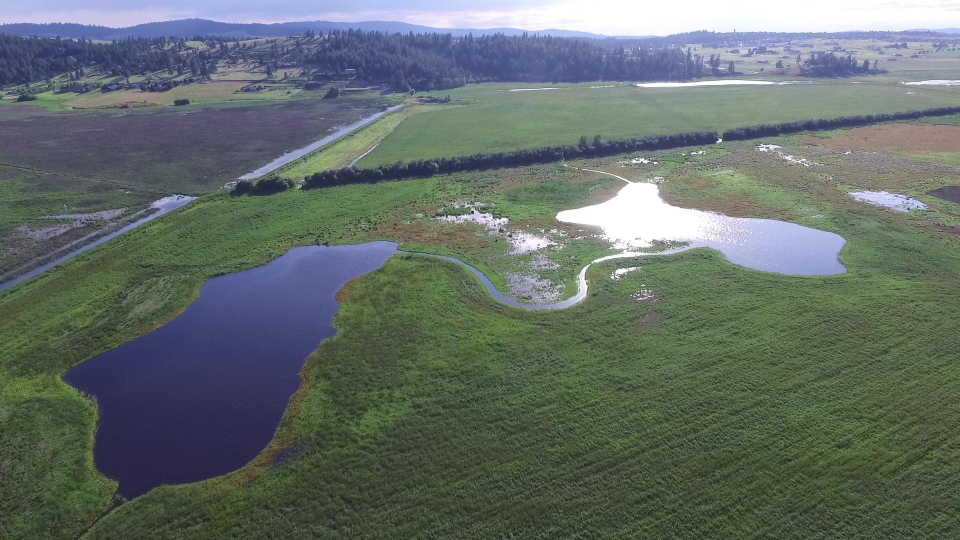 Conservation at Risk from Oregon's Proposed Ballot Initiative IP 28