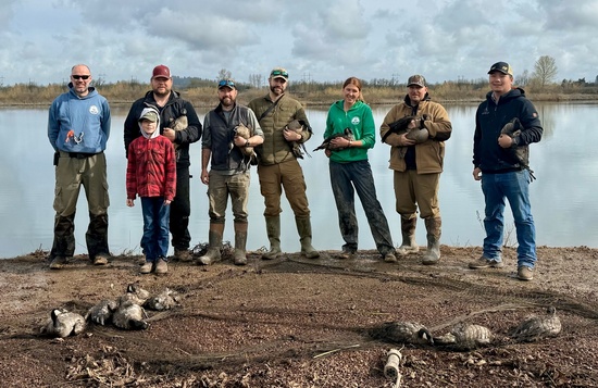 From Oregon Fields to Arctic Skies: GPS and Genetic Science Used to Study Geese in Pacific Flyway 