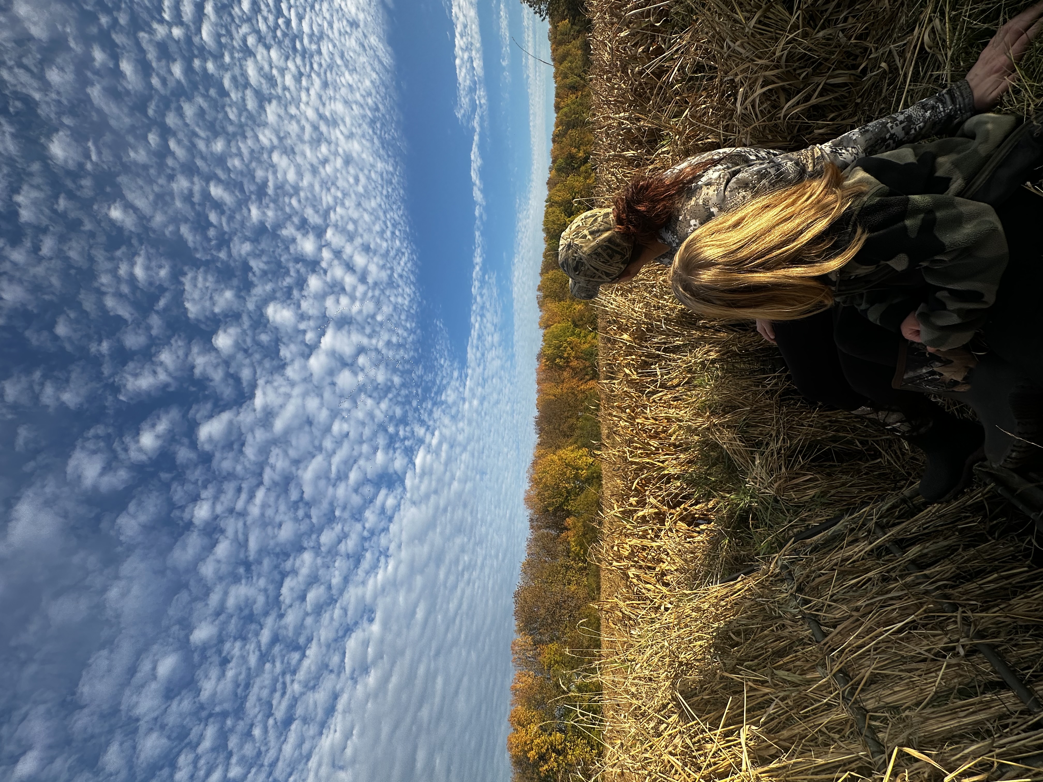 Image for Conservation at Risk from Oregon's Proposed Ballot Initiative IP 28
