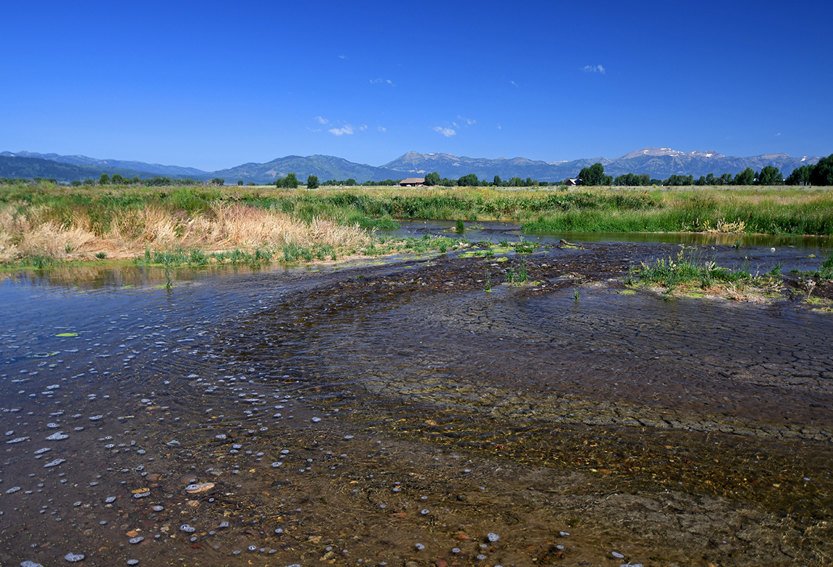 Improving Water Quality and Enhancing Wetlands in Jackson, Wyoming