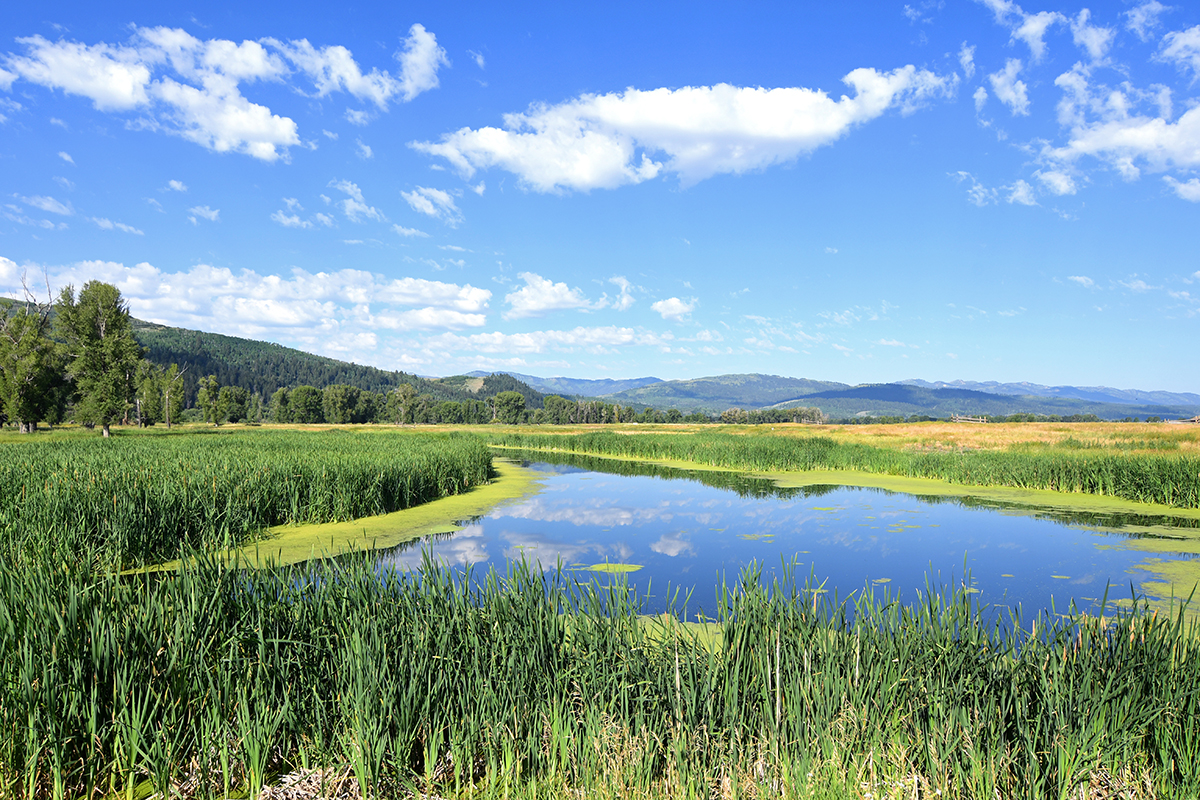 Overview of Wyoming Habitat