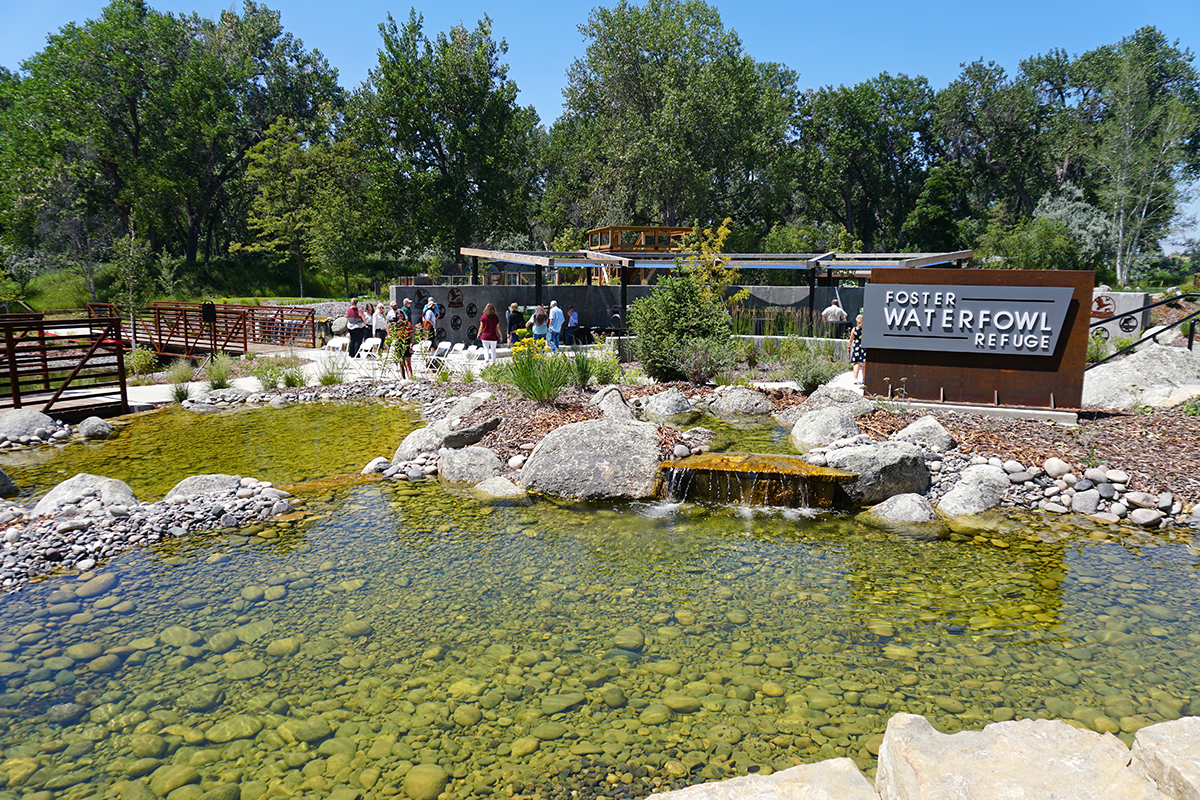 DU, Phillips 66, and ZooMontana Open the Foster Waterfowl Refuge