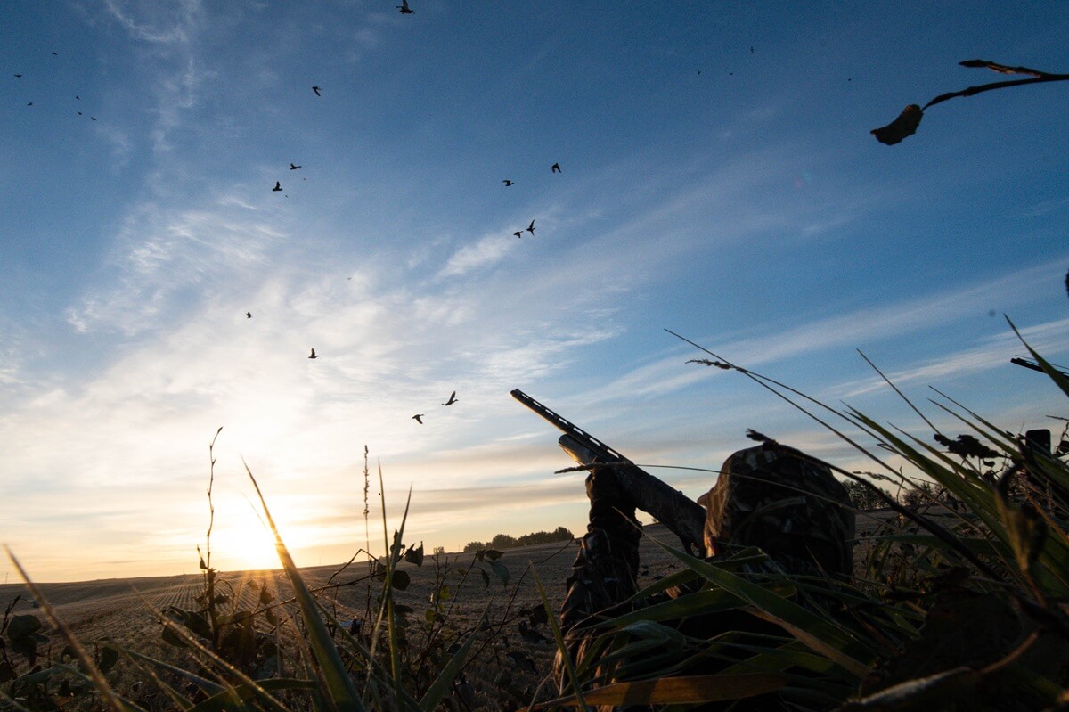 Image for Ducks Unlimited Welcomes Guns.com as Newest Proud Partner 