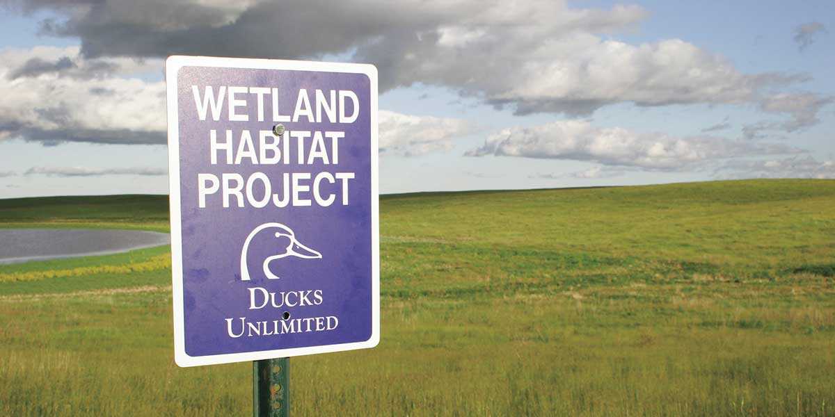 Wetland Habitat Project Sign and grassland