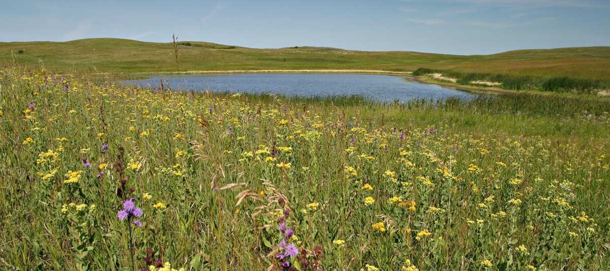 Prairies and lakes