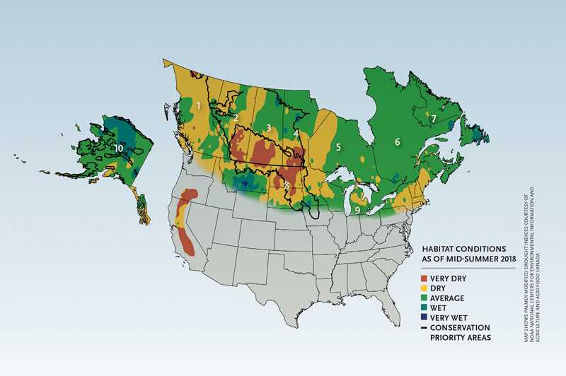 Field Reports: 2018 Duck Production Outlook