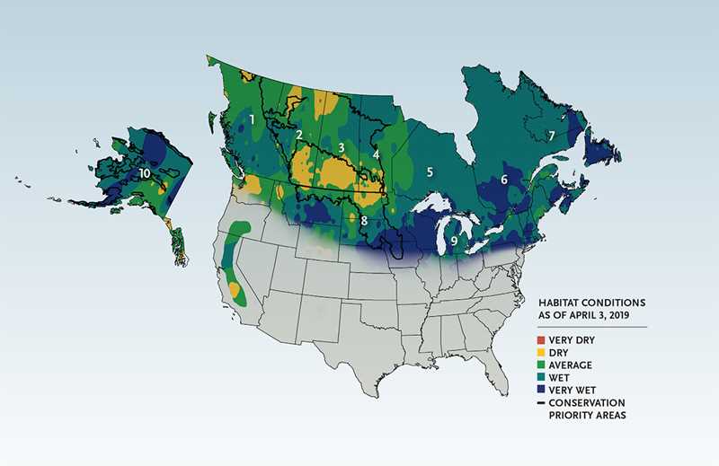 spring 2019 map