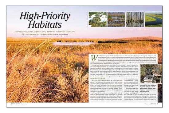 high-priority habitats