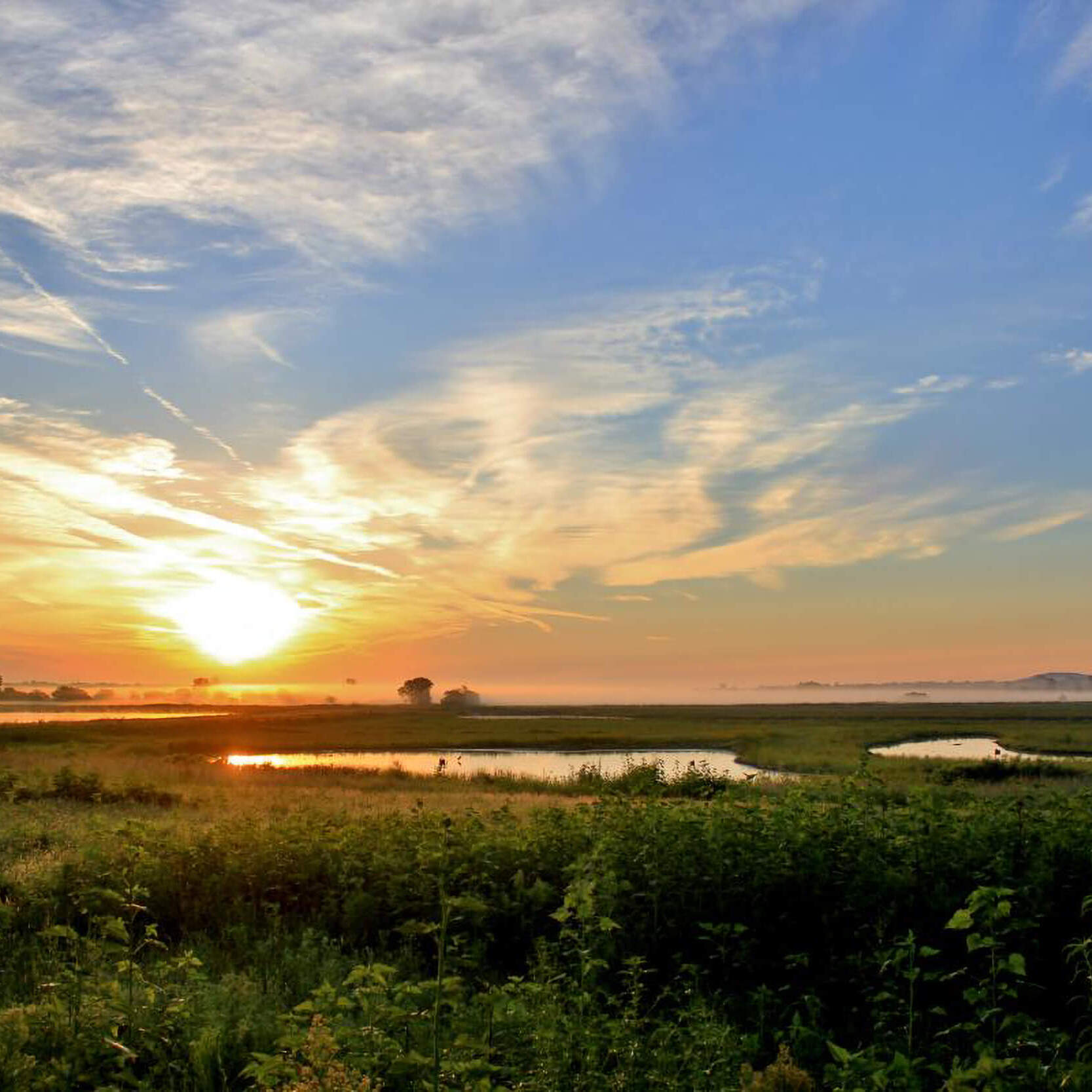 bakerwetlandsscenic_square.jpg