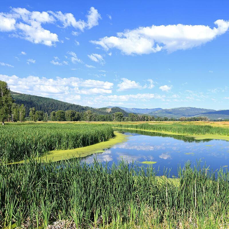 wyoming_habitat-slim.jpeg