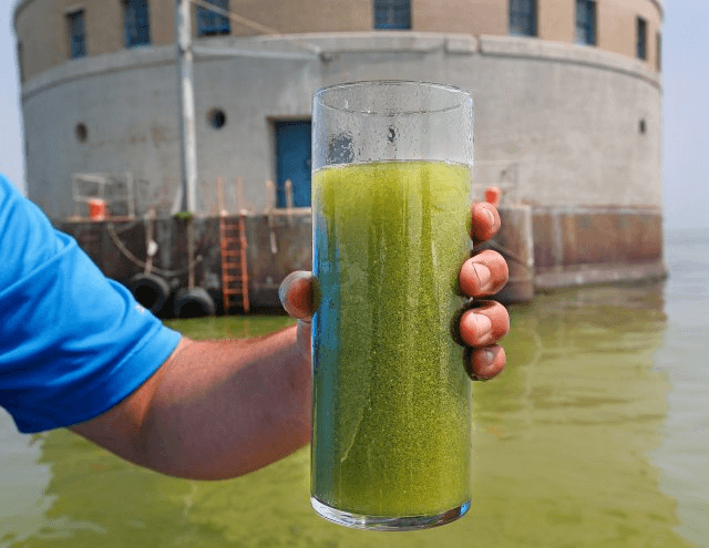 water-quality.png