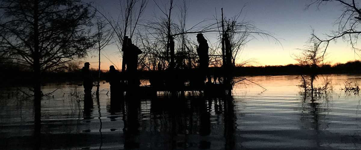 Researchers working in wetlands