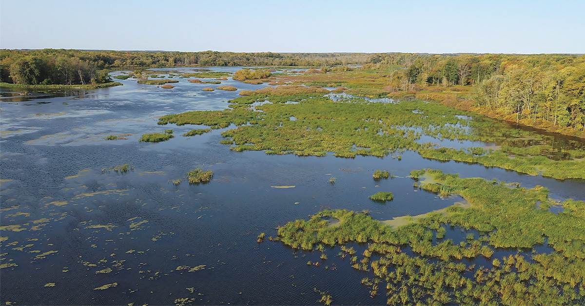 Overlooking wetlands