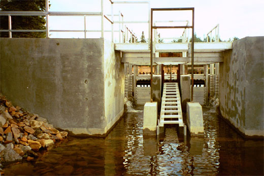 strucMoosehornLadder1.jpg
