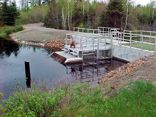 strucMoosehornLadder2.jpg