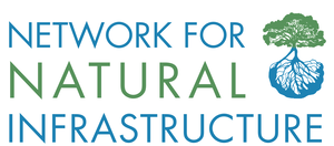 nni-logo.png