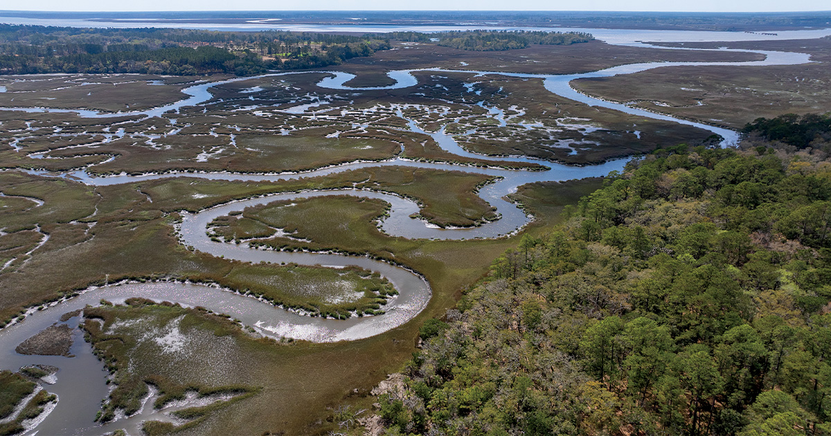 A Lowcountry Legacy