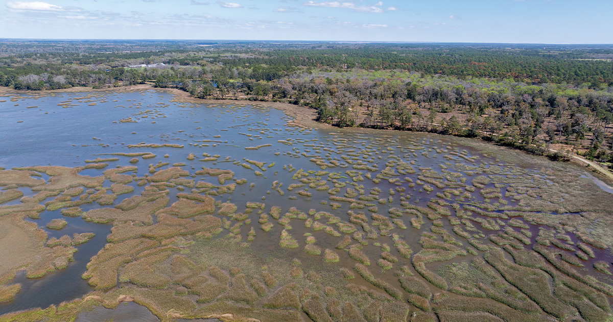 A Lowcountry Legacy