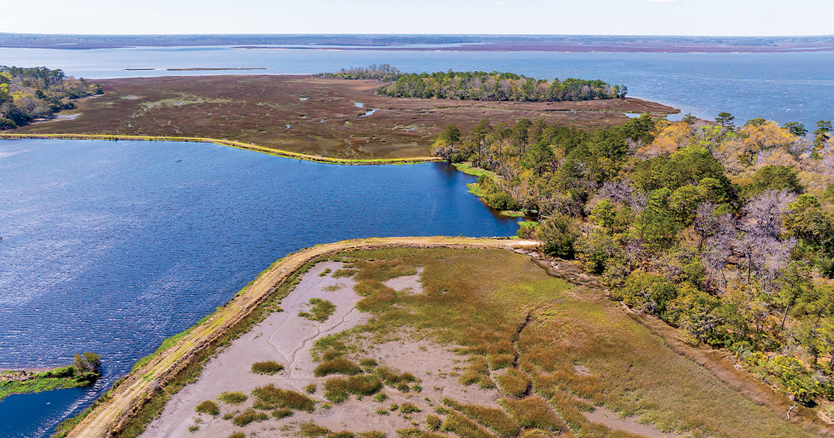 Image for A Lowcountry Legacy