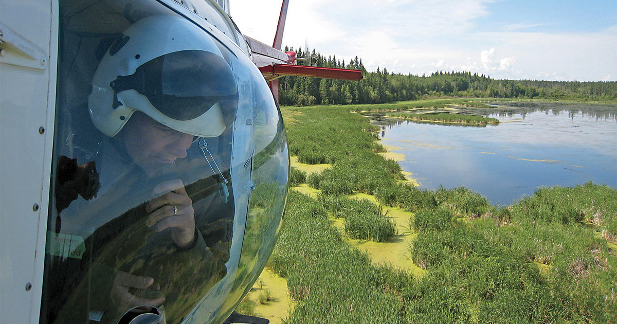 Big Success in the Boreal Forest