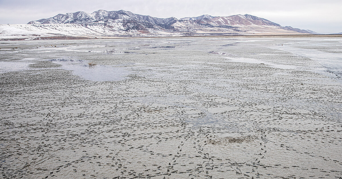 Can We Save the Great Salt Lake?