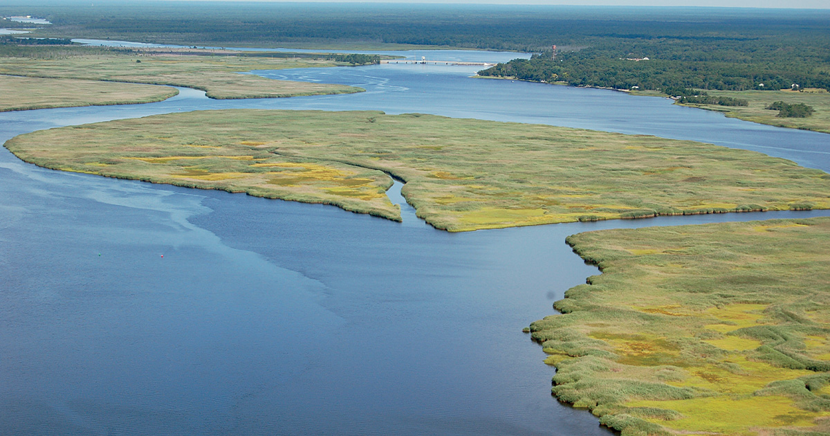 Brian Marsh, USFWS.jpg