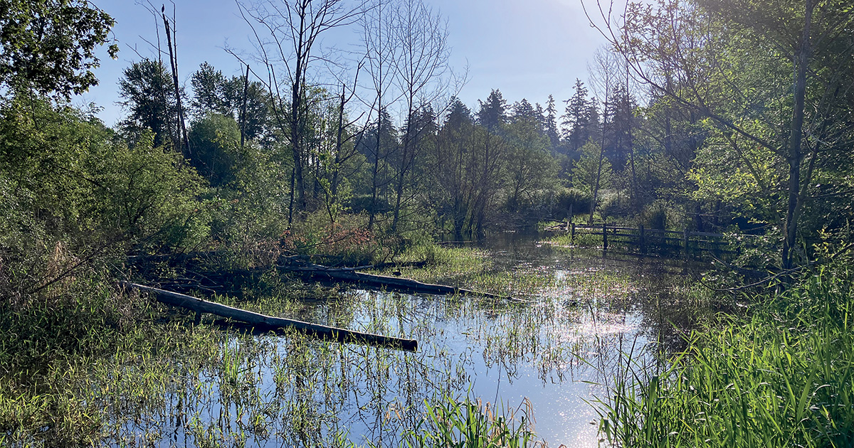 Field Reports: 2026 Duck Production Outlook
