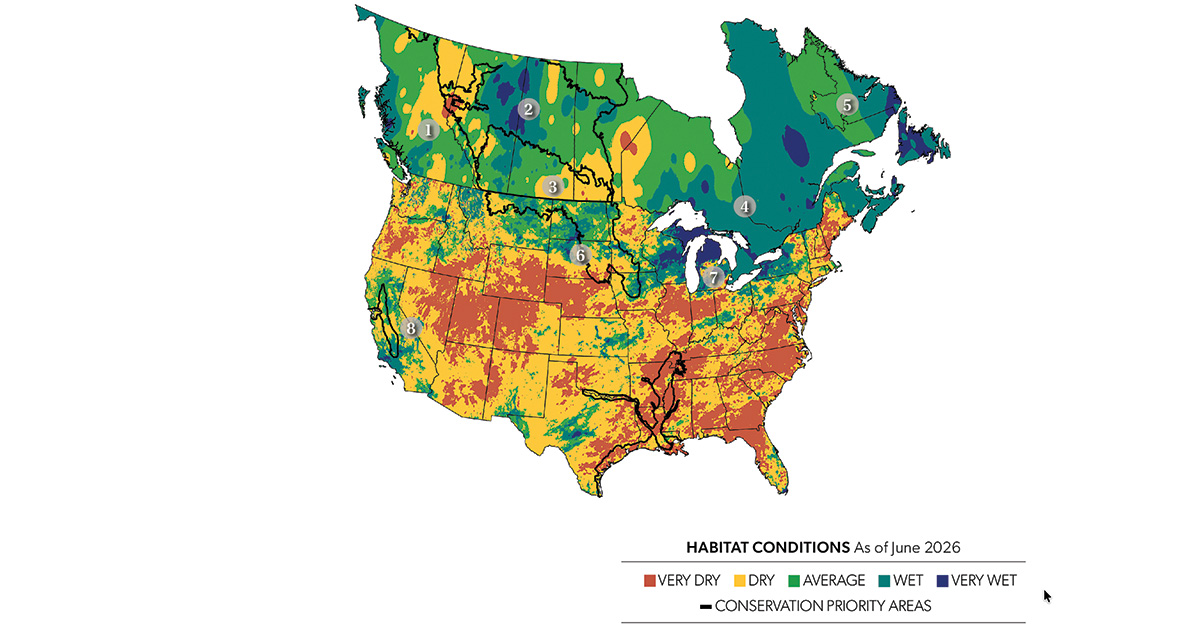 Image for Field Reports: 2026 Duck Production Outlook