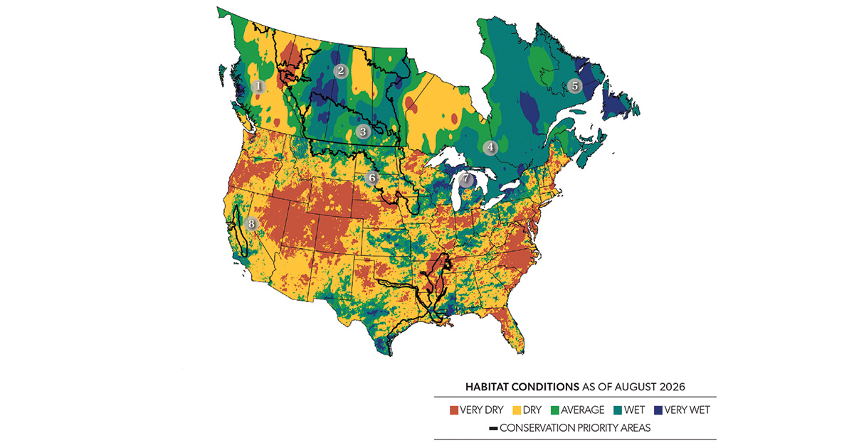 Image for Field Reports: 2026 Fall Flight Outlook